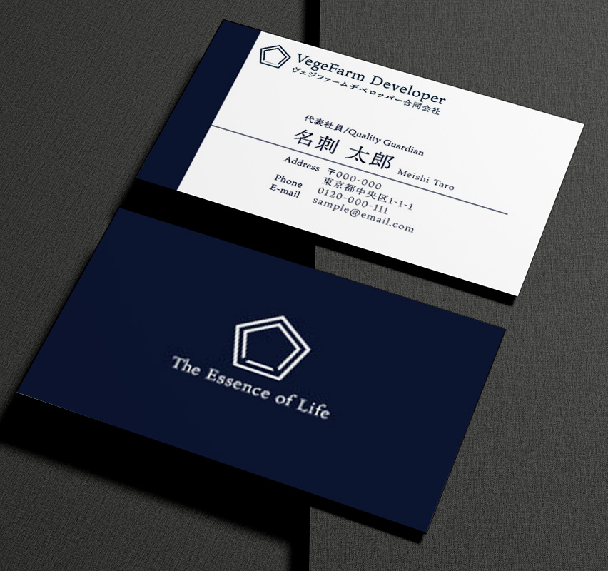 ヴェジファームデヴェロッパー合同会社様名刺